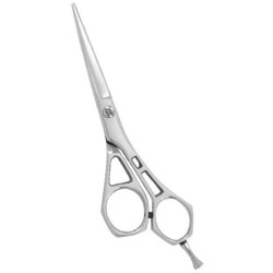 Professional Hair Cutting Scissors